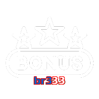 br333